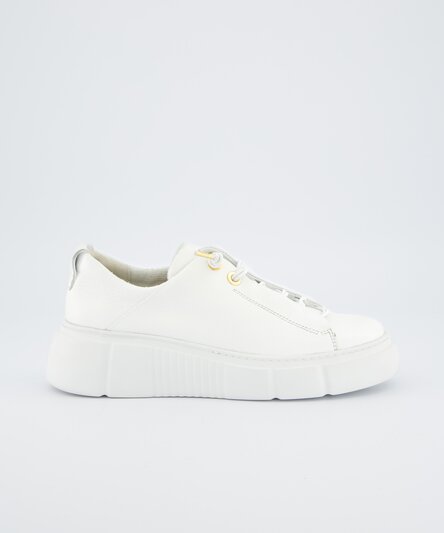 Sneakers Paul Green